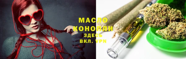амф Верхний Тагил