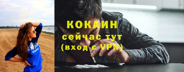 амф Верхний Тагил