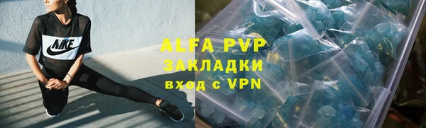 амф Верхний Тагил
