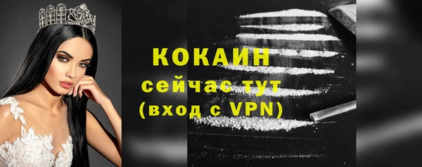 амф Верхний Тагил