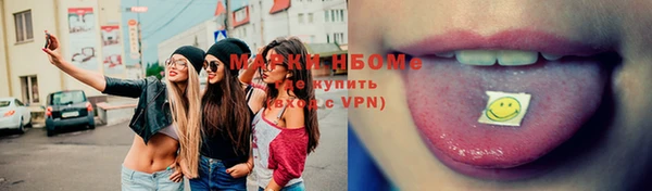 амф Верхний Тагил