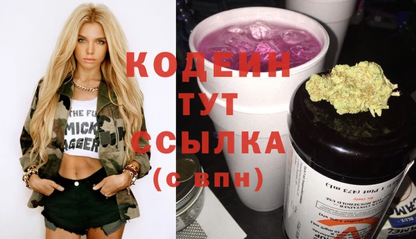 амф Верхний Тагил