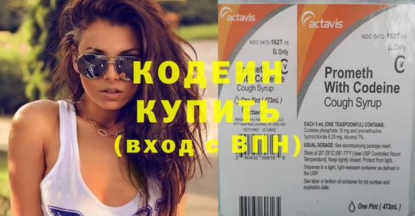 амф Верхний Тагил