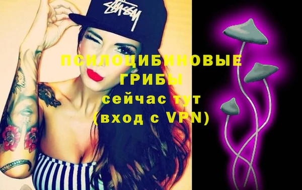 амф Верхний Тагил