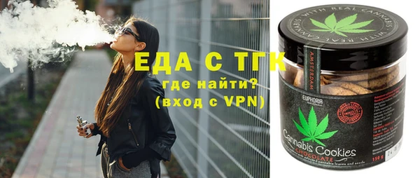 амф Верхний Тагил