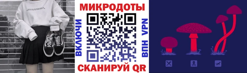 купить  цена  Вышний Волочёк  Псилоцибиновые грибы Cubensis 